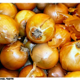 Onion Seeds Yellow Italy Update