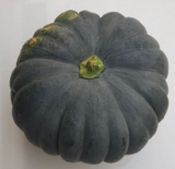 Pumpkin Seeds India Update December 21, 2022