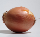 Onion Seeds Yellow Spain Update