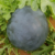 Watermelon Big Boss
