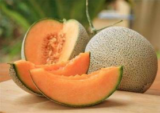 Melon Seeds Germany Update July 9, 2023