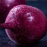 Onion Seeds Red France Update